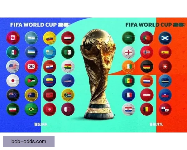 2026年世界杯扩军背景下各洲球队晋级规则全解析
